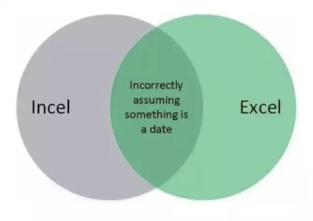 Excel Incel
