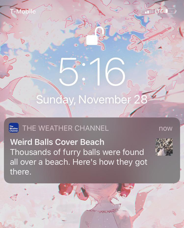 Excuse me Furry balls where