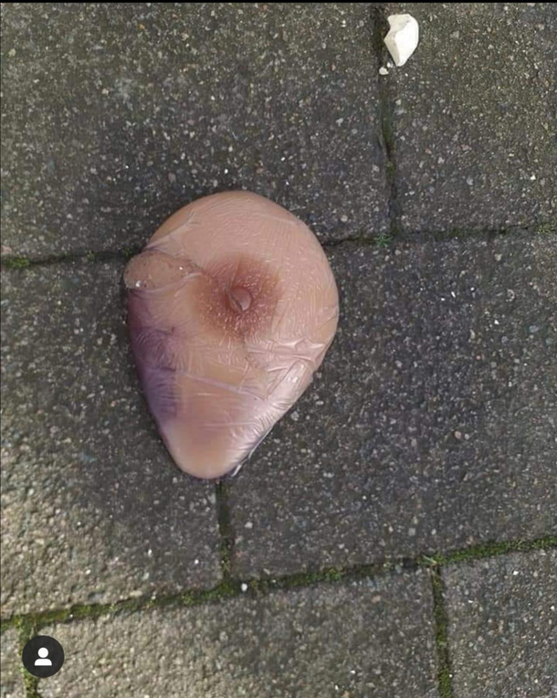 Excuse me Maam you dropped your tit