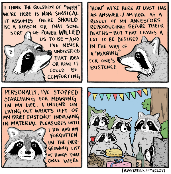 Existentialist raccoon