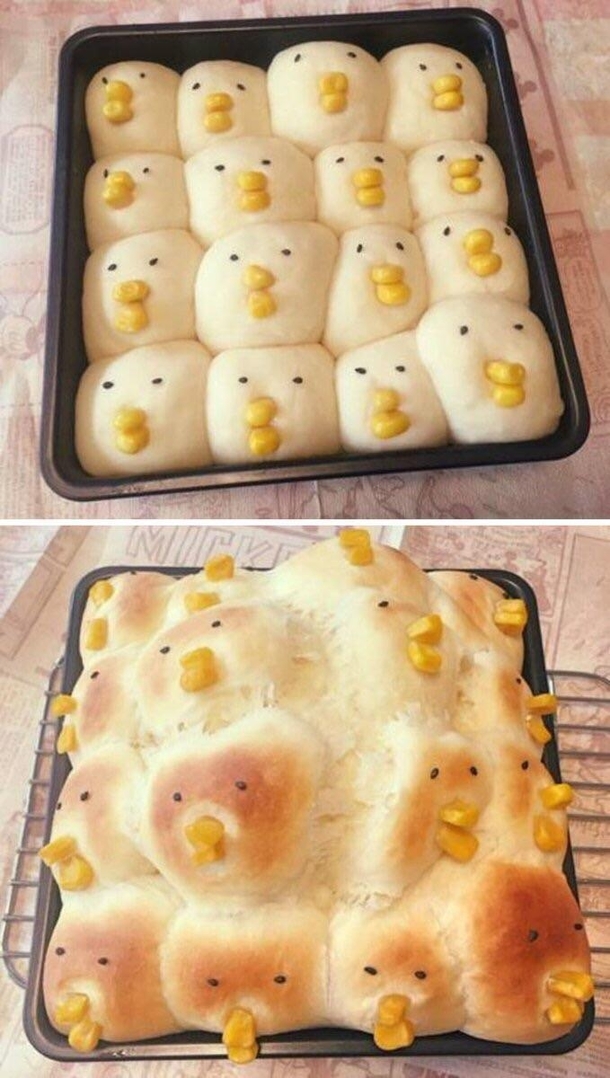 Expectation vs reality