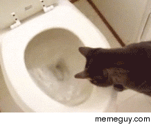 explain this sorcery human