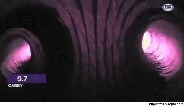EXPOSED - Nuclear Fusion Reactor Uses Puppy For Free Energy