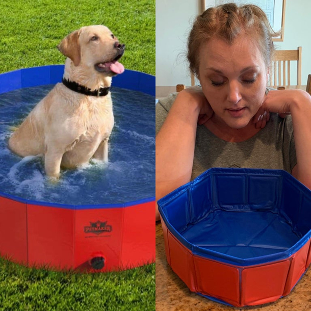 Extra large dog pool