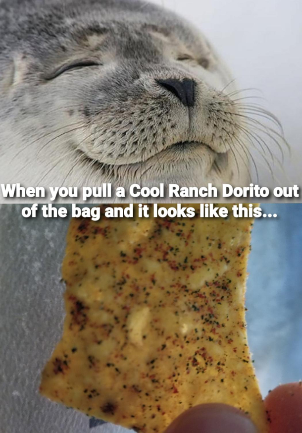 Extra Ranch Dust