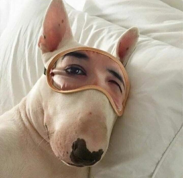 Eyem Watching You