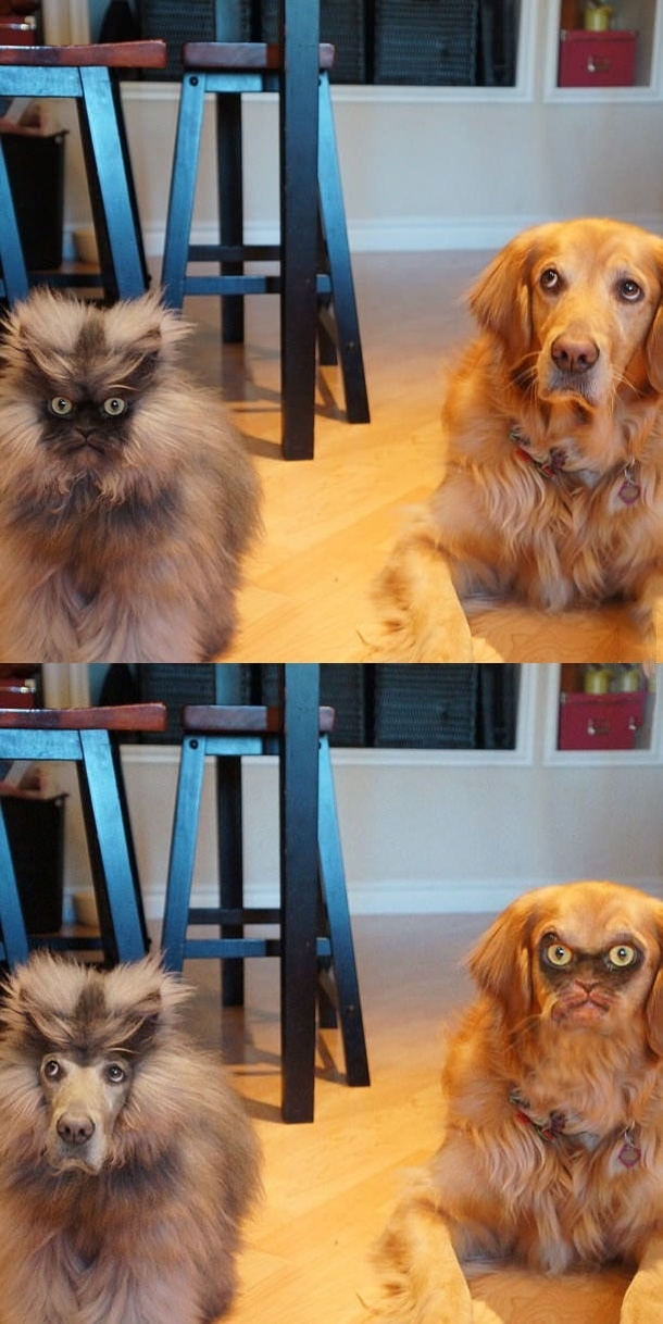 face swap done right