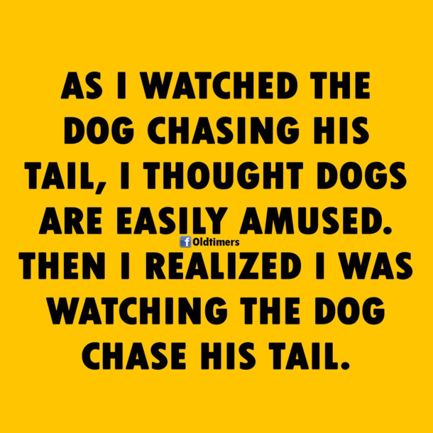 Facebook but funny