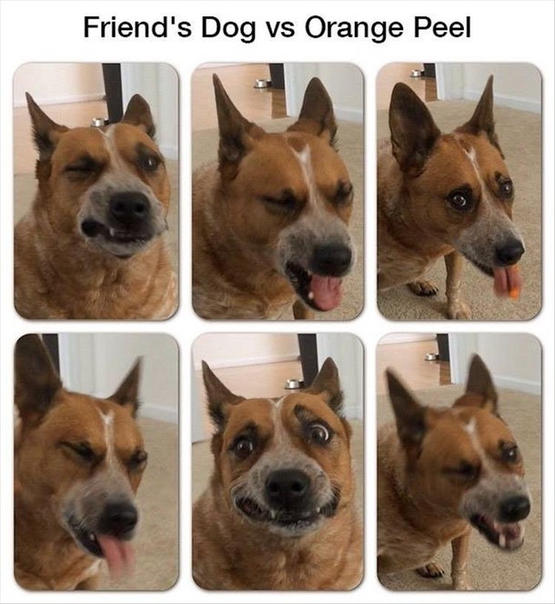 Faces of regret