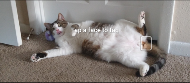 Facial recognition still has a ways to go