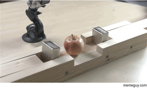 Failed apple experiment