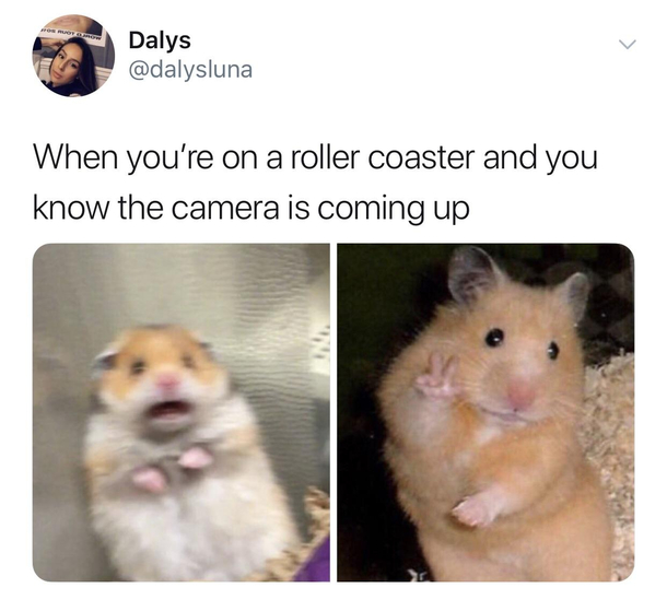Fairly accurate