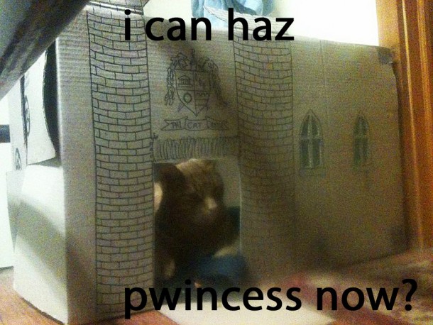 Fairy Tale Cat