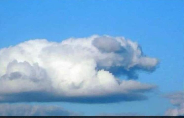 Falkor is for real 