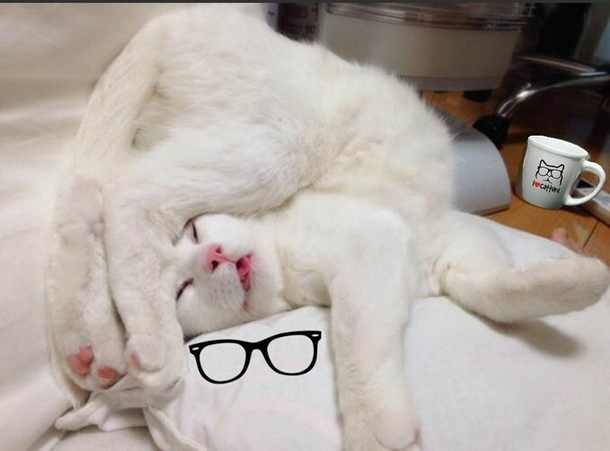 Falling asleep in the middle of a good book