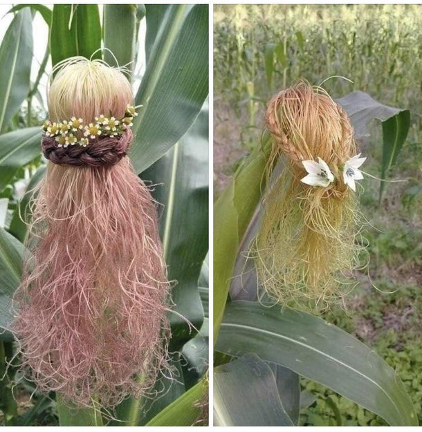 Fancy corn hair