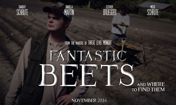 fantastic BEETS and where to find them