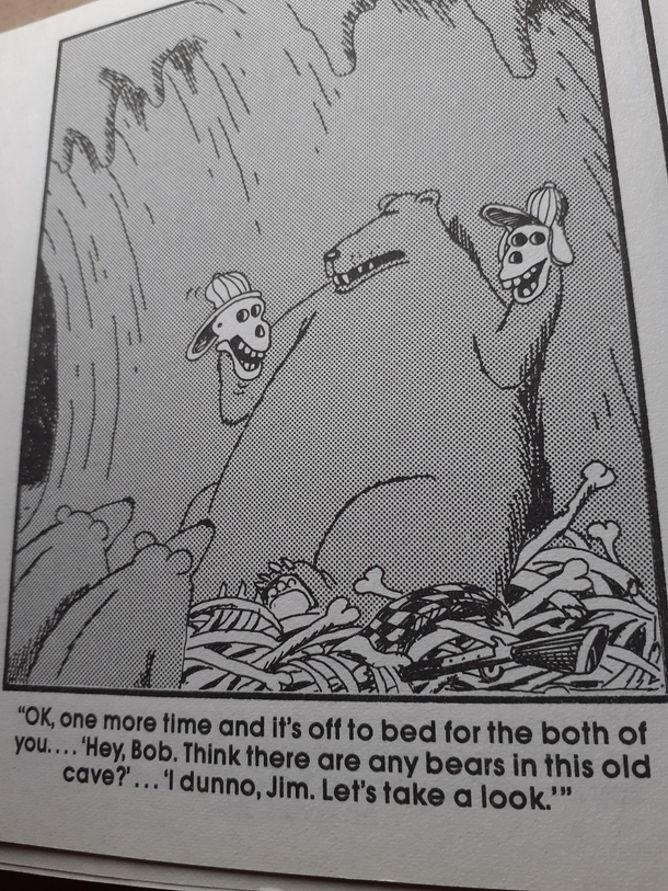 Far Side