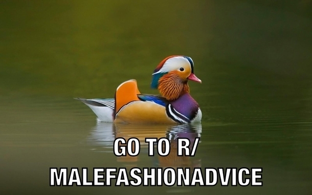 Fashion Advice Mallard