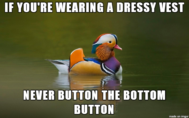 Fashionable Advice Mallard