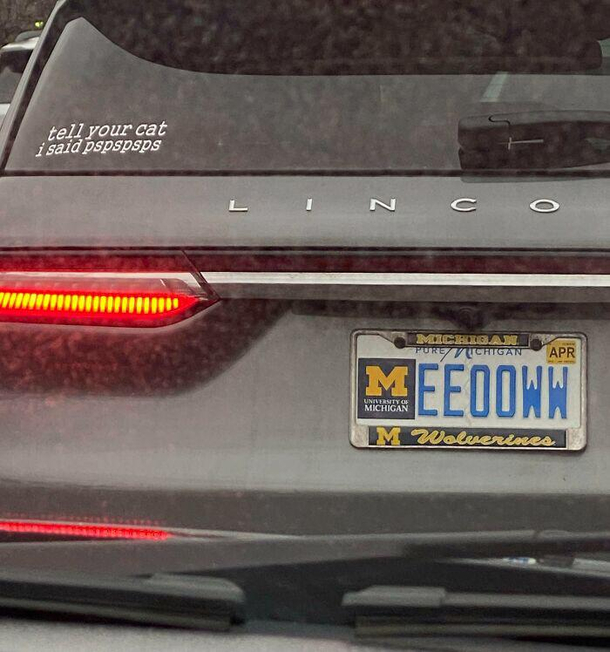 Fast and Feline