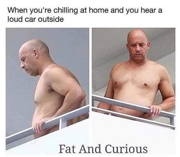 Fat and Curious coming soon to theatres everywhere