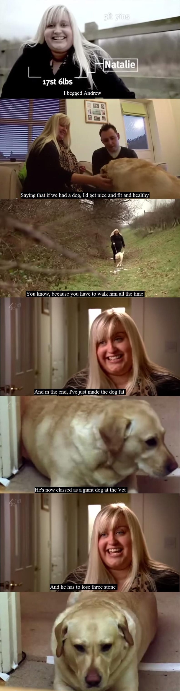 Fat Logic Pet Edition