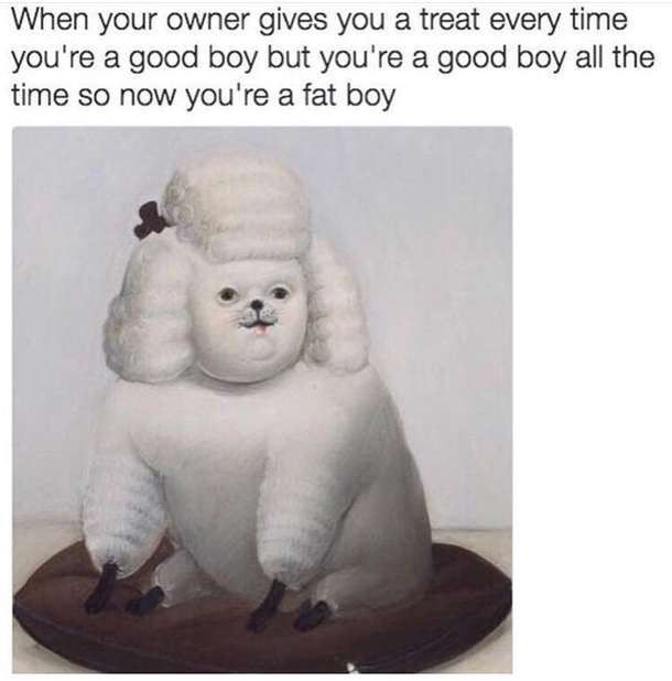 Fat Pupper