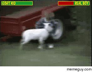 Fatality- Goat vs Real Boy