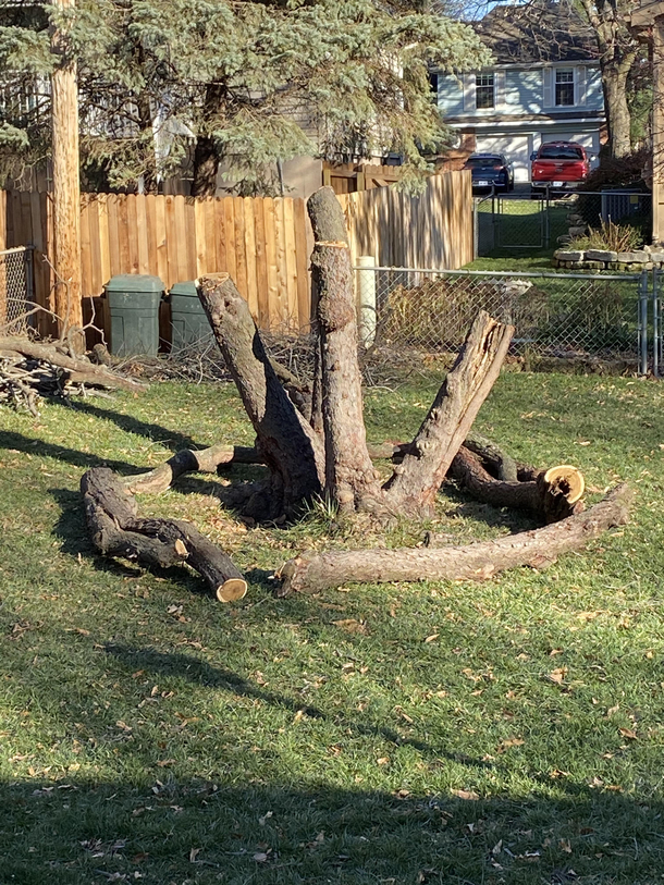 Father in law cut down our tree and left a ritual altar