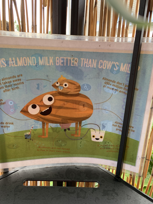 FDA says Nuts cant lactate but clearly in this picture they do