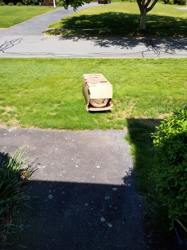 FedEx Just Delivered Our New Mattress It was heavy