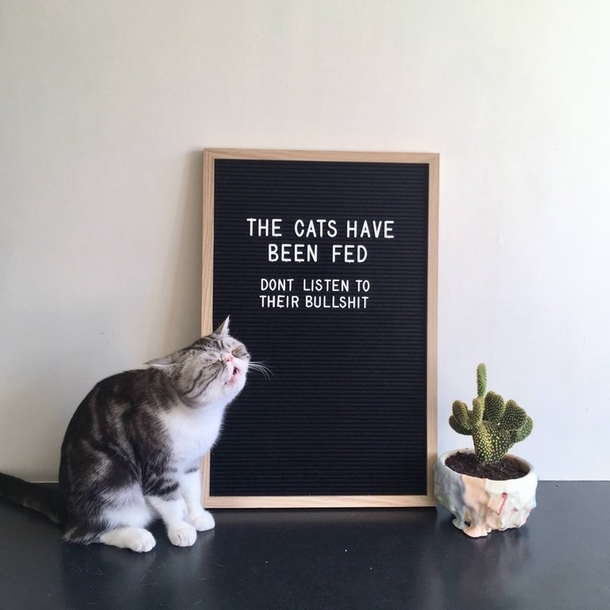 feed meeee