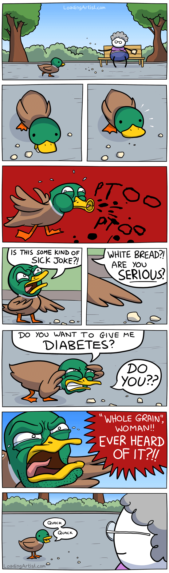 Feeding the ducks