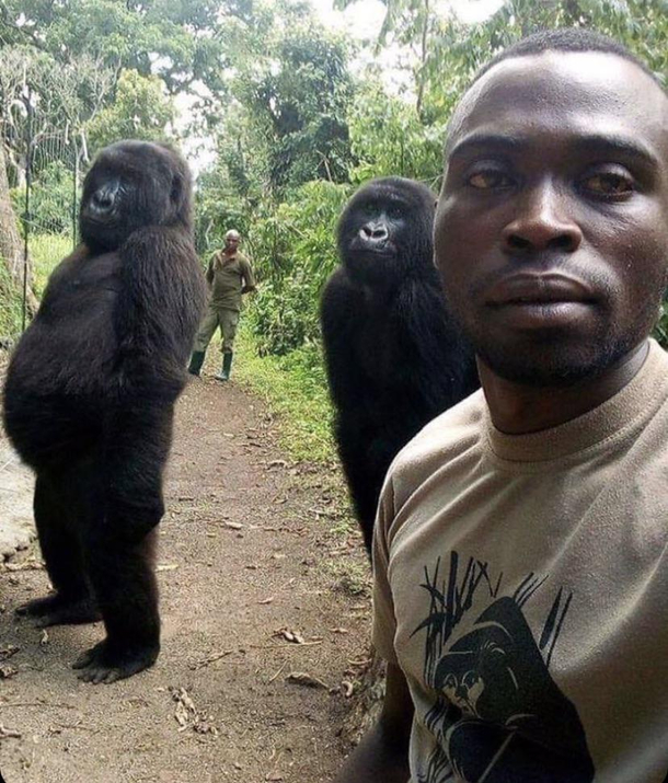 Feelin cute might delete later