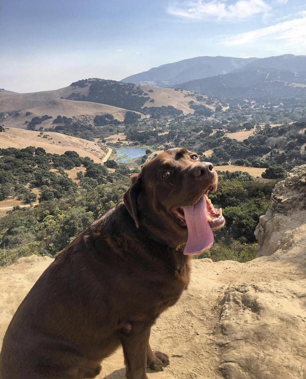 Feeling cute might delete later
