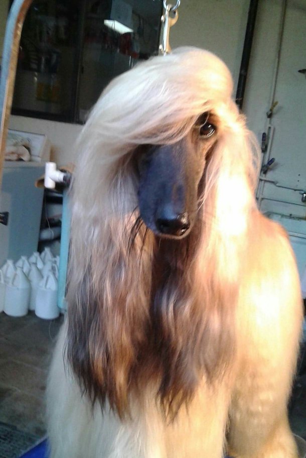 Feeling cute might delete later idk