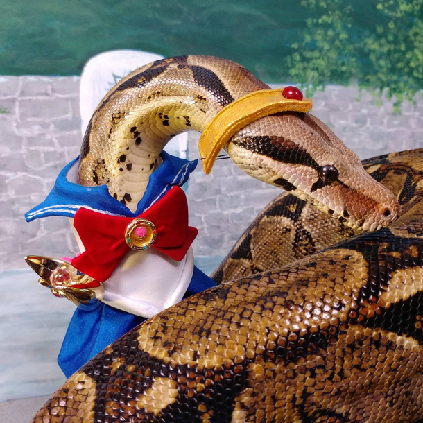 Feeling magical might delete later