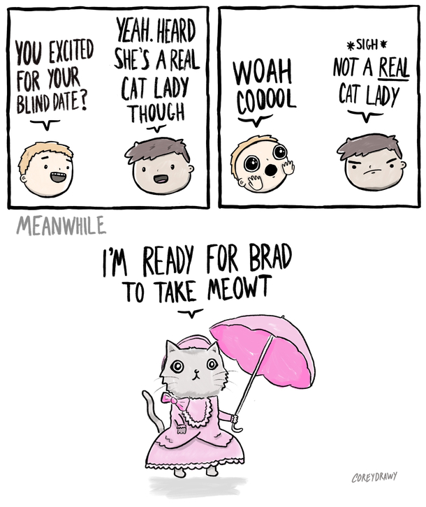 Feline fine 