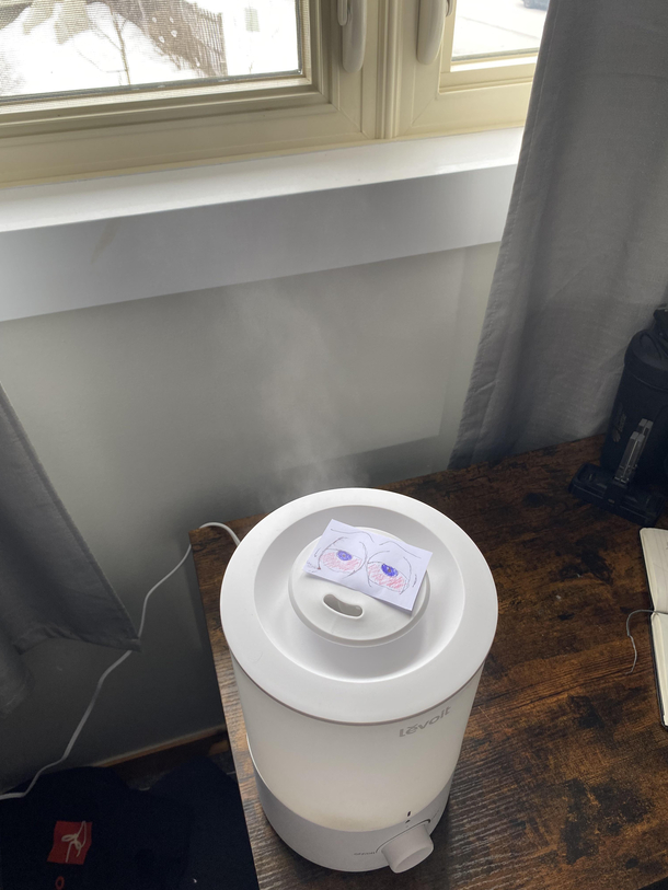 Felt like my roommates new humidifier needed something