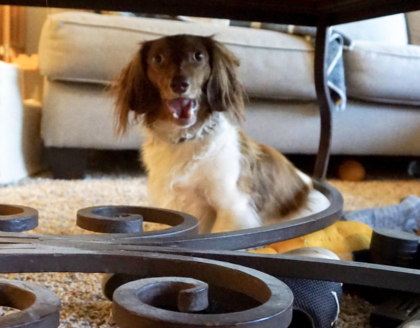 Fergus in disbelief