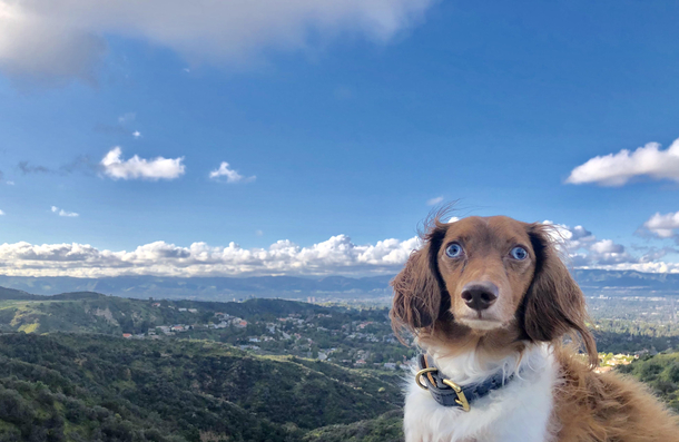 Fergus looks concerned for humanity