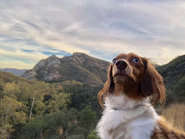 Fergus philosophizes