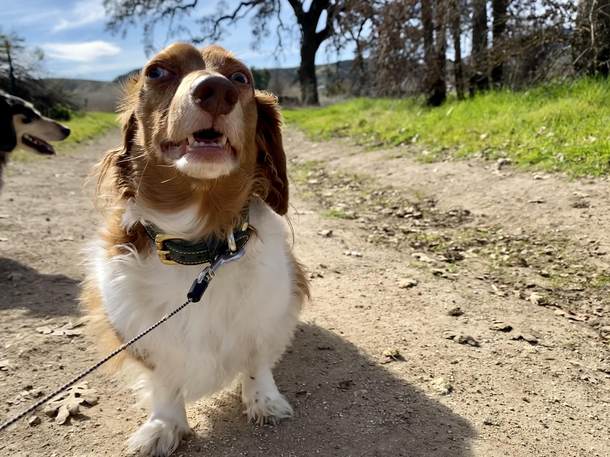 Fergus when he realized that we were not turning around