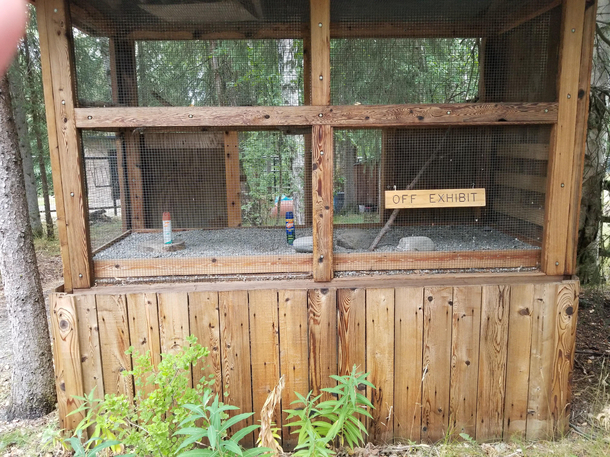 Fiance saw this at the Alaskan Zoo resizing issue might need to zoom