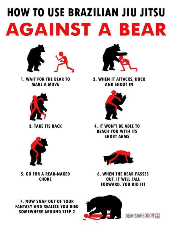 Fighting Bears