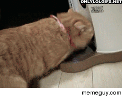 Figured out the food dispenser