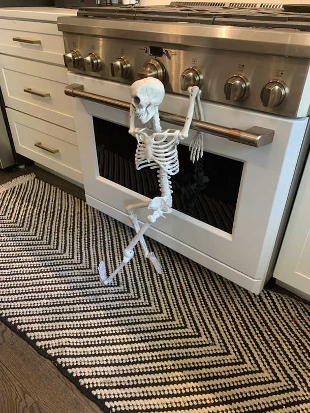 Finally figured how to baby proof the oven