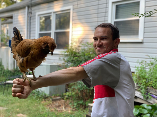 Finally getting into falconry