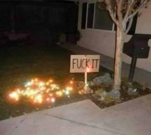 Finally got my Christmas lights out